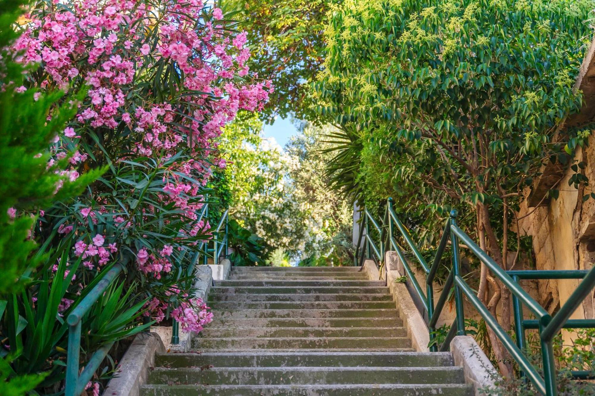 Central 2Br Apartment In The Heart Of Atenas Exterior foto
